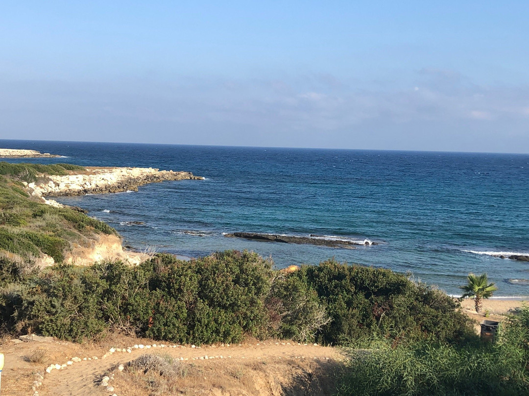 Balci Plaza Hotel & Restaurant - North Cyprus主图