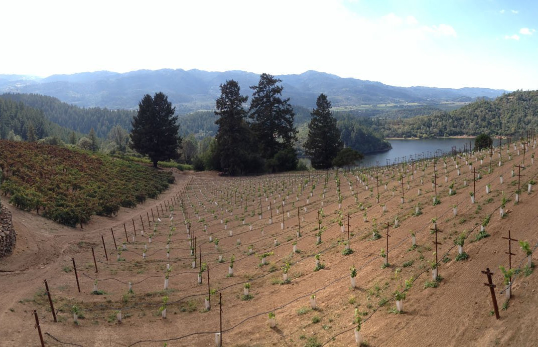 Savor Napa Valley Wine Tours-纳帕必去景点