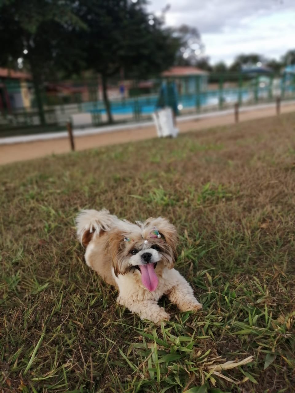 Hotel Fazenda Araras-浴室