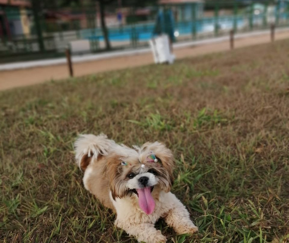 Hotel Fazenda Araras主图