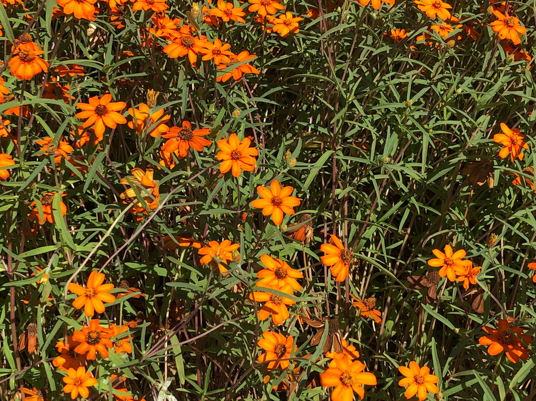 Botanical Garden-特拉维夫必去景点