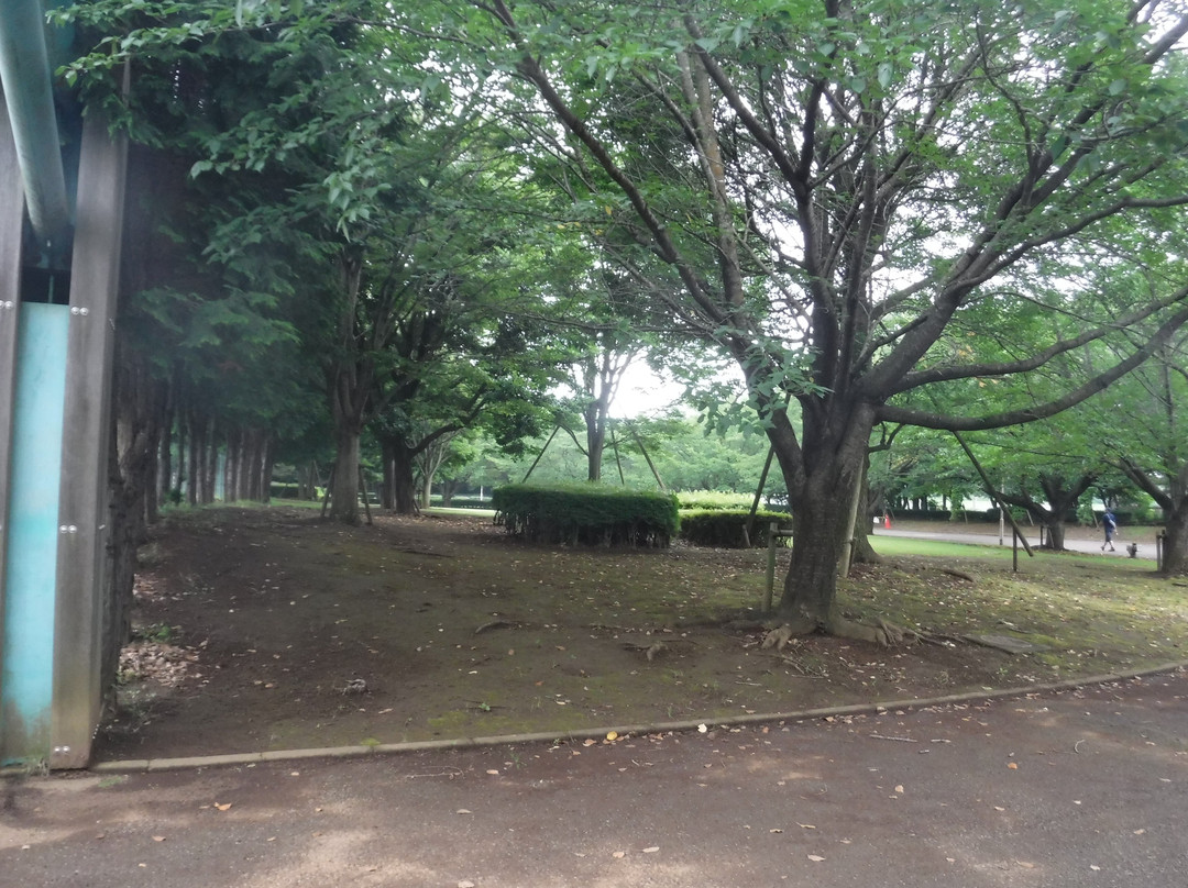 Shiroi Sports Park-白井市必去景点