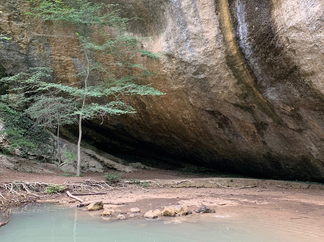 Kozyrek Waterfall-Peredovoye必去景点