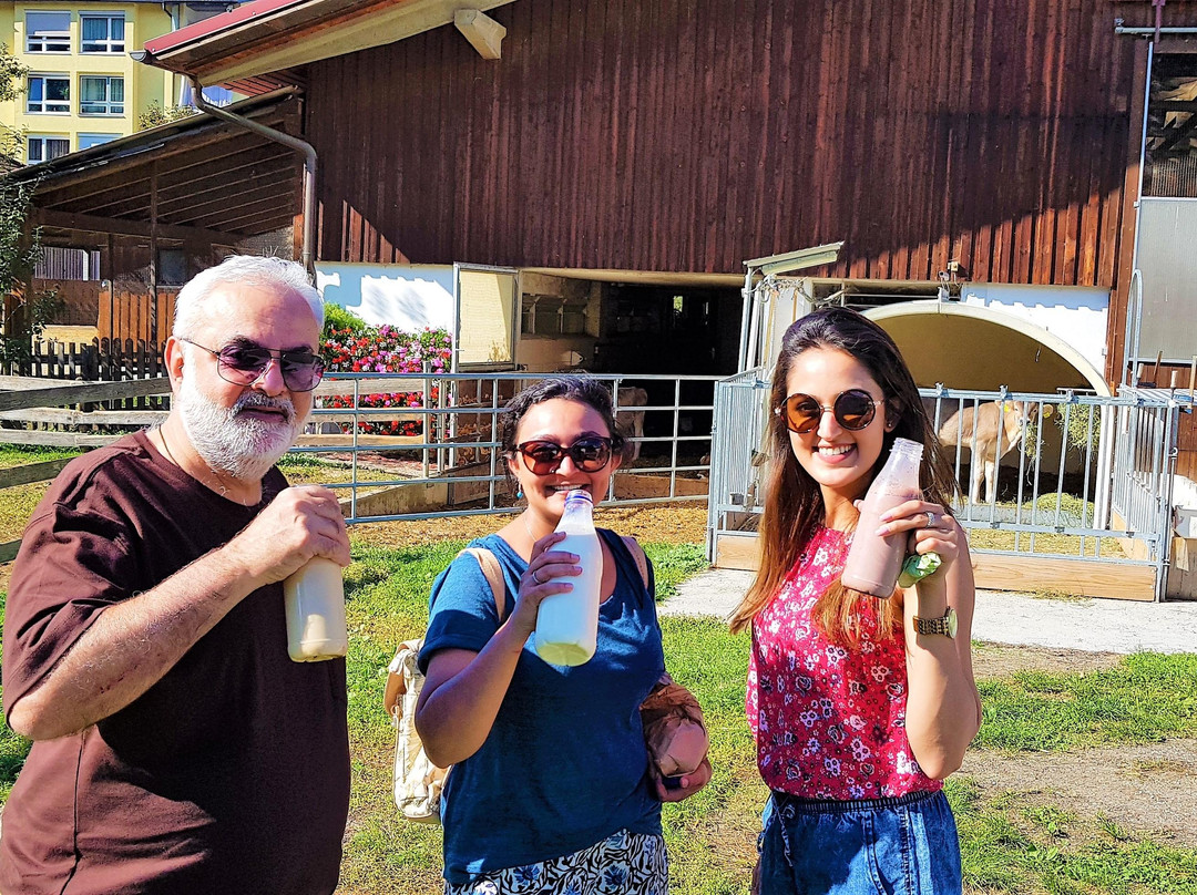 Talking Life Experiences-茵斯布鲁克必去景点