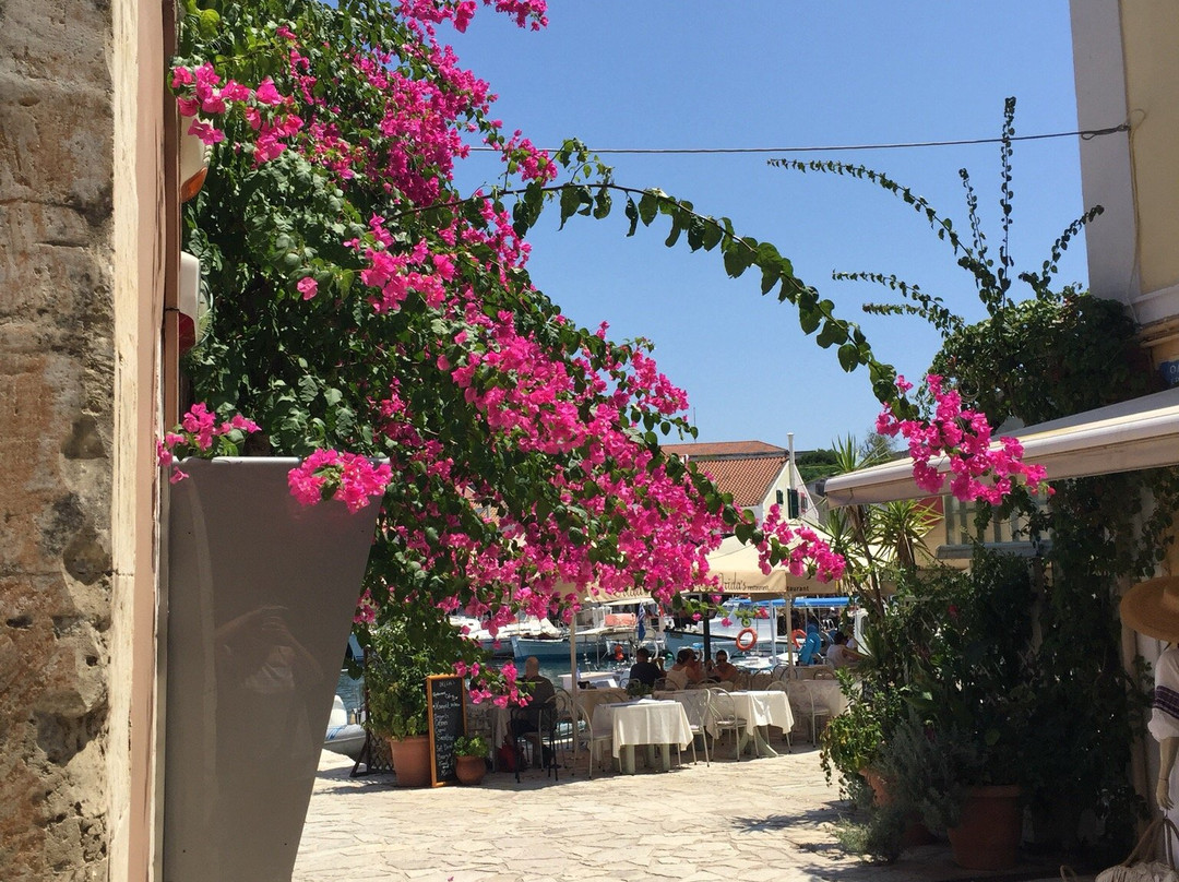 Panem Day Trips-Lassi必去景点