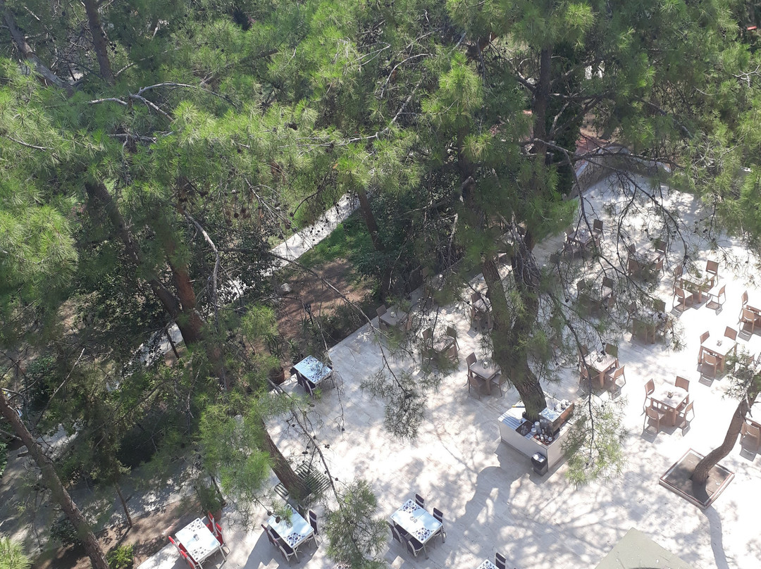 Club Festival Tekirova主图