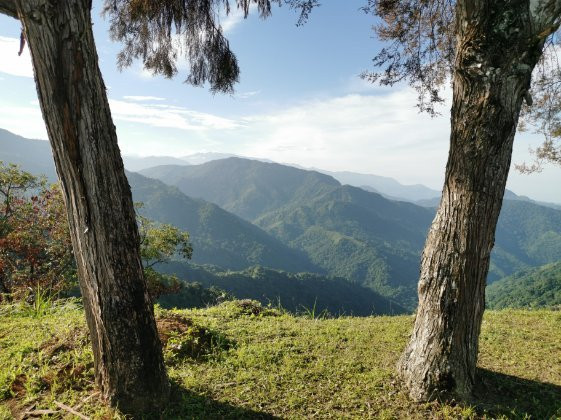 Tovar Extreme Adventure-Minca必去景点