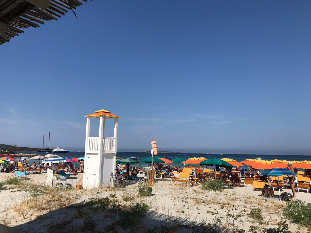 Sardunya Beach Club主图