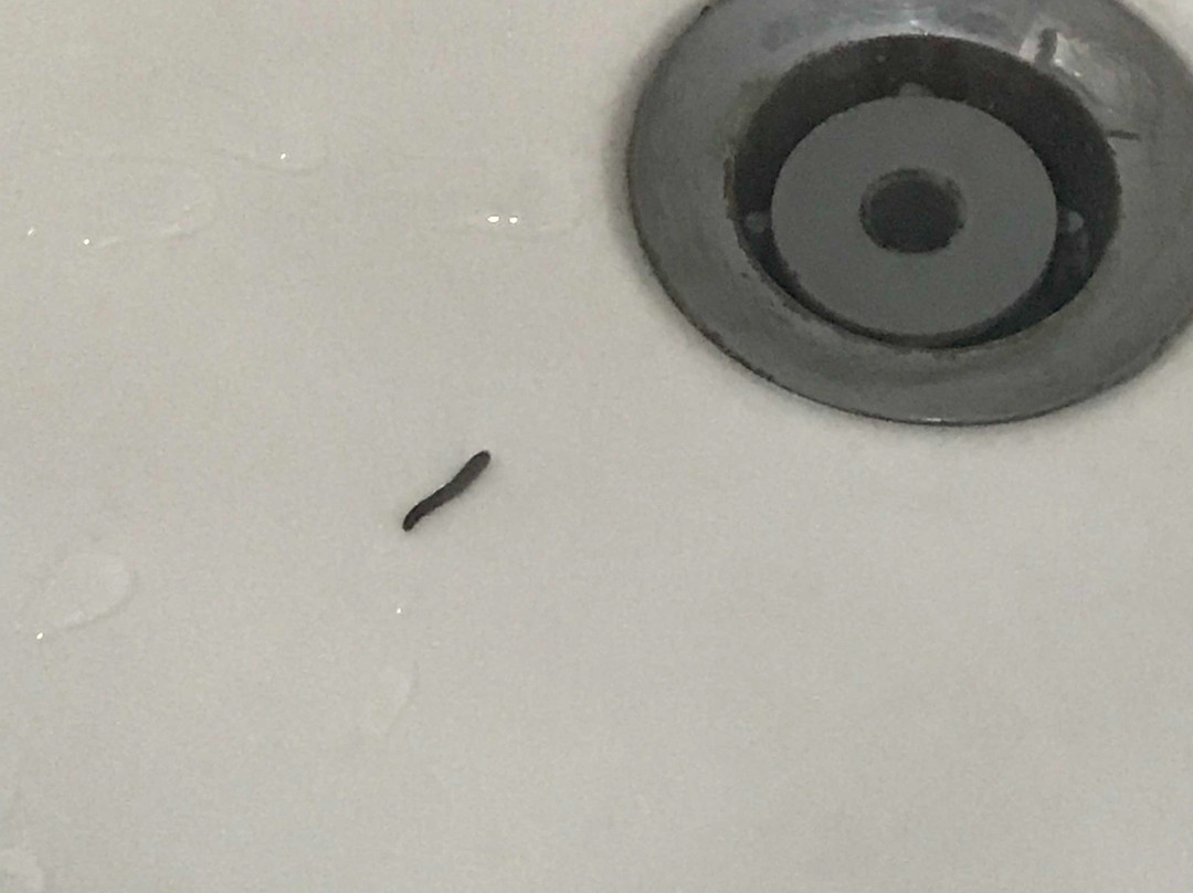 原始小岛海滩Spa度假村主图