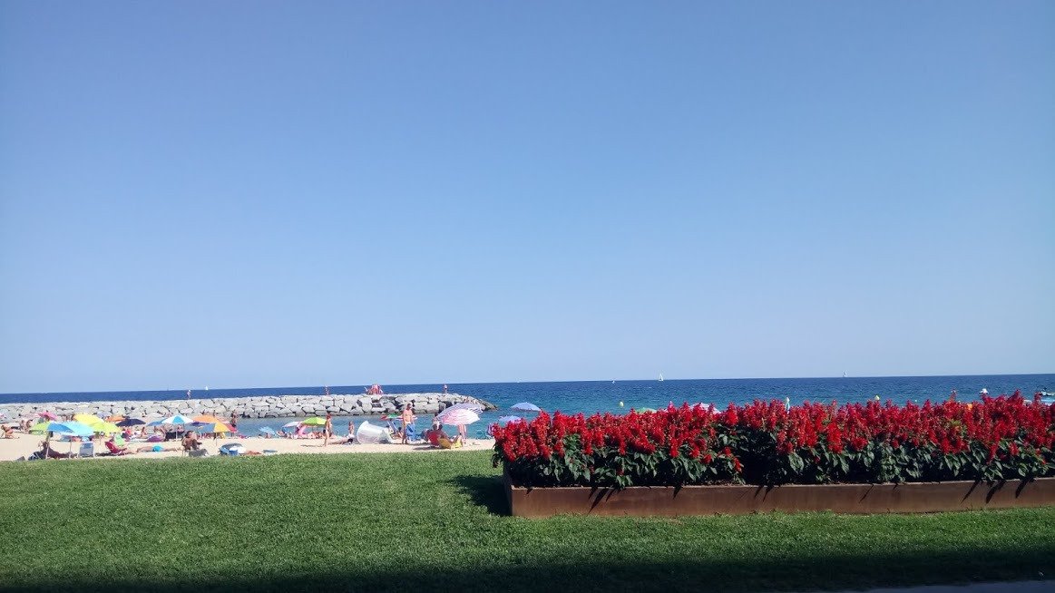 Ona Palamós-泳池