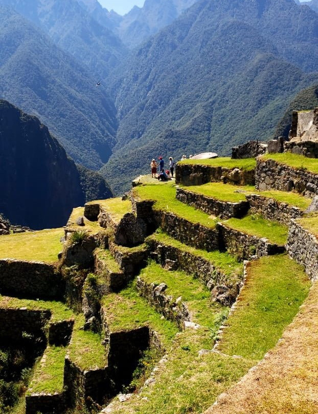 Jardin Botanico en Machu Pichu-马丘比丘必去景点