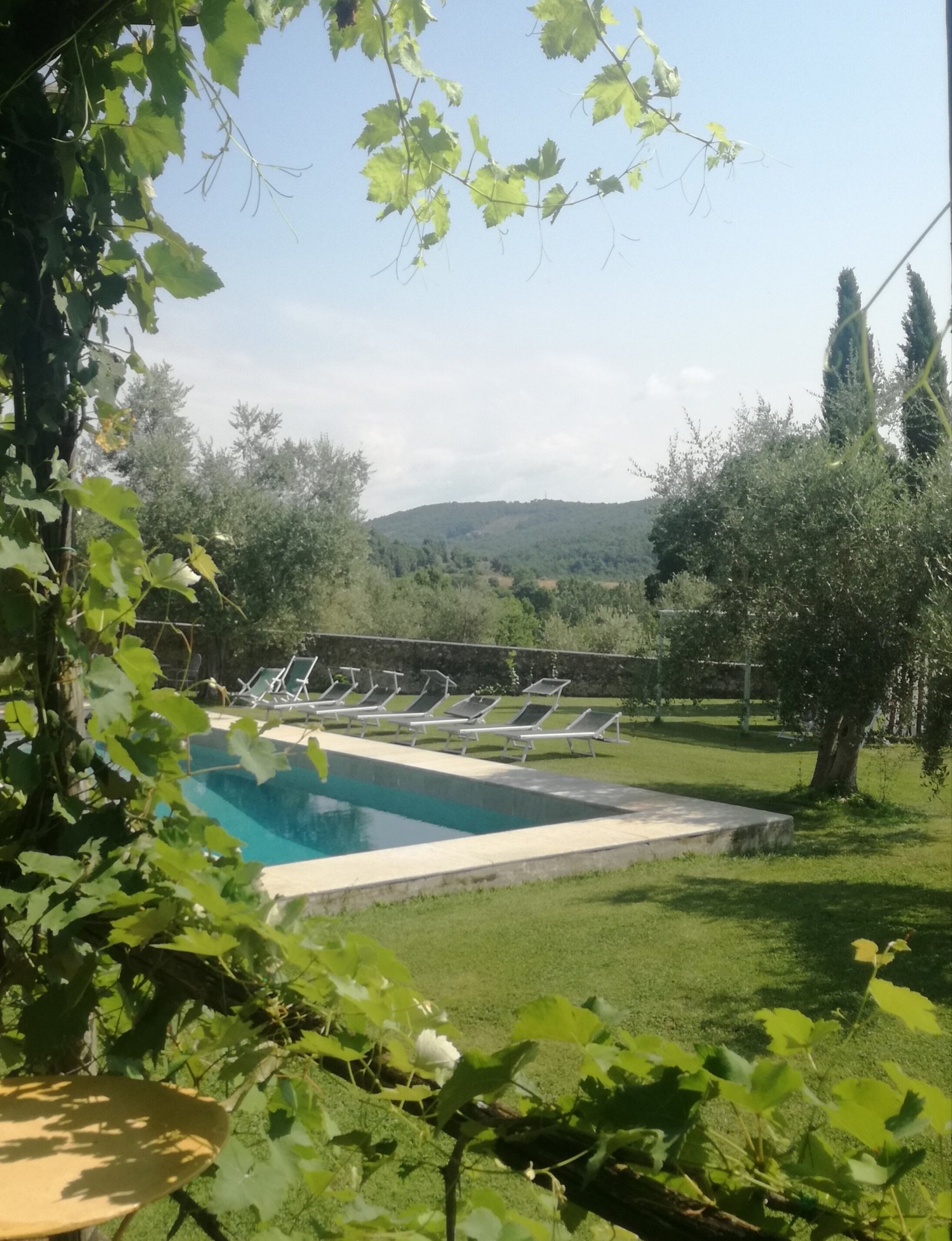 Agriturismo Borgo Personatina-泳池