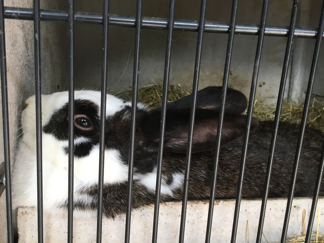 La Ferme du Cugnon-Hauteluce必去景点