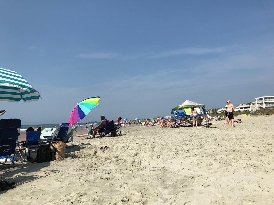 棕榈林海滨酒店主图