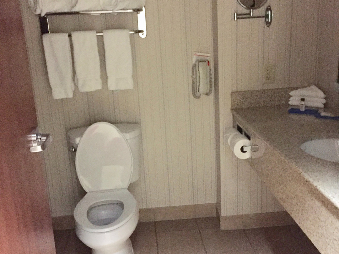 南帕快捷假日&套房酒店主图