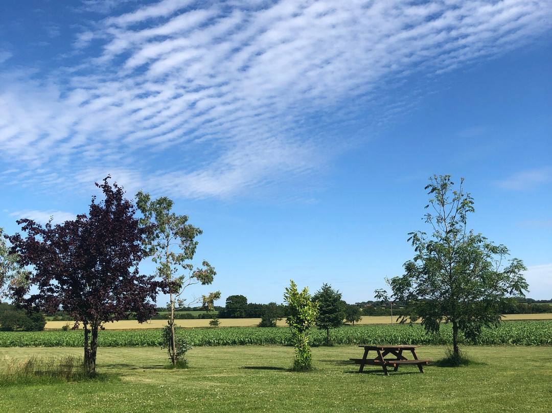 Brighthouse Farm Bury St. Edmunds主图