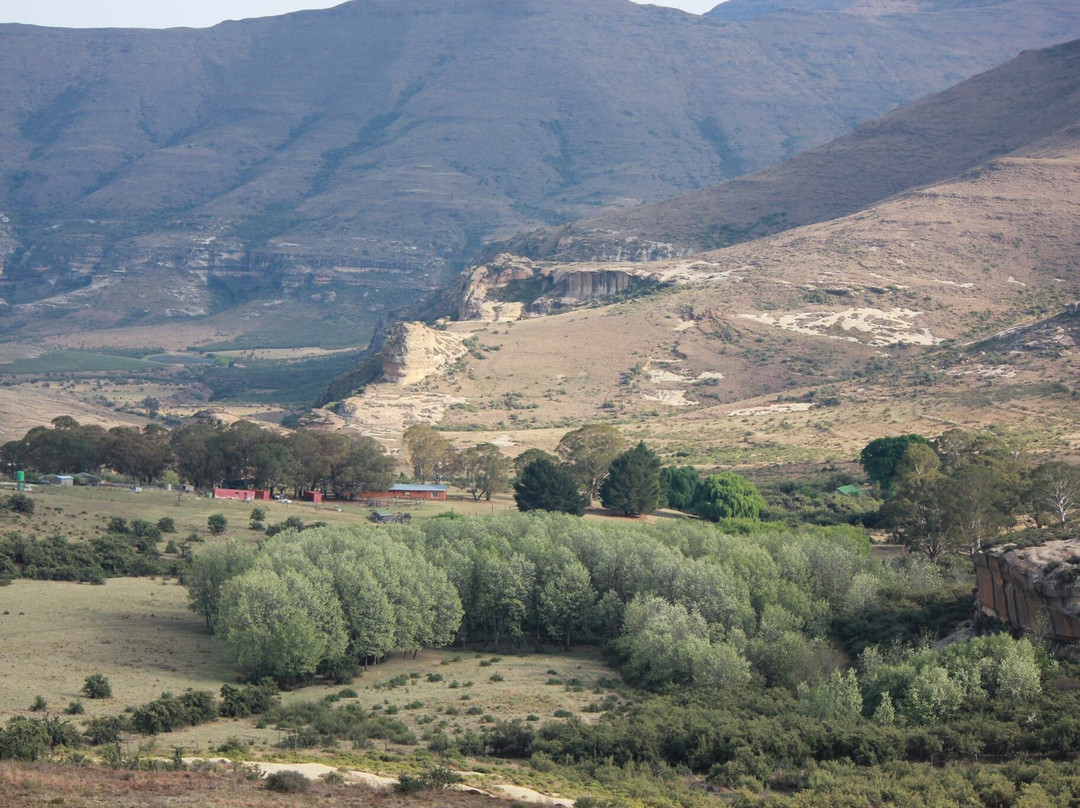 Thaba Thabo Nature Reserve