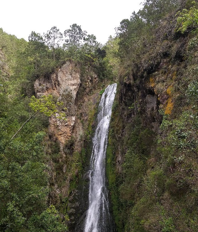 Salto Aguas Blancas Waterfall-Constanza必去景点