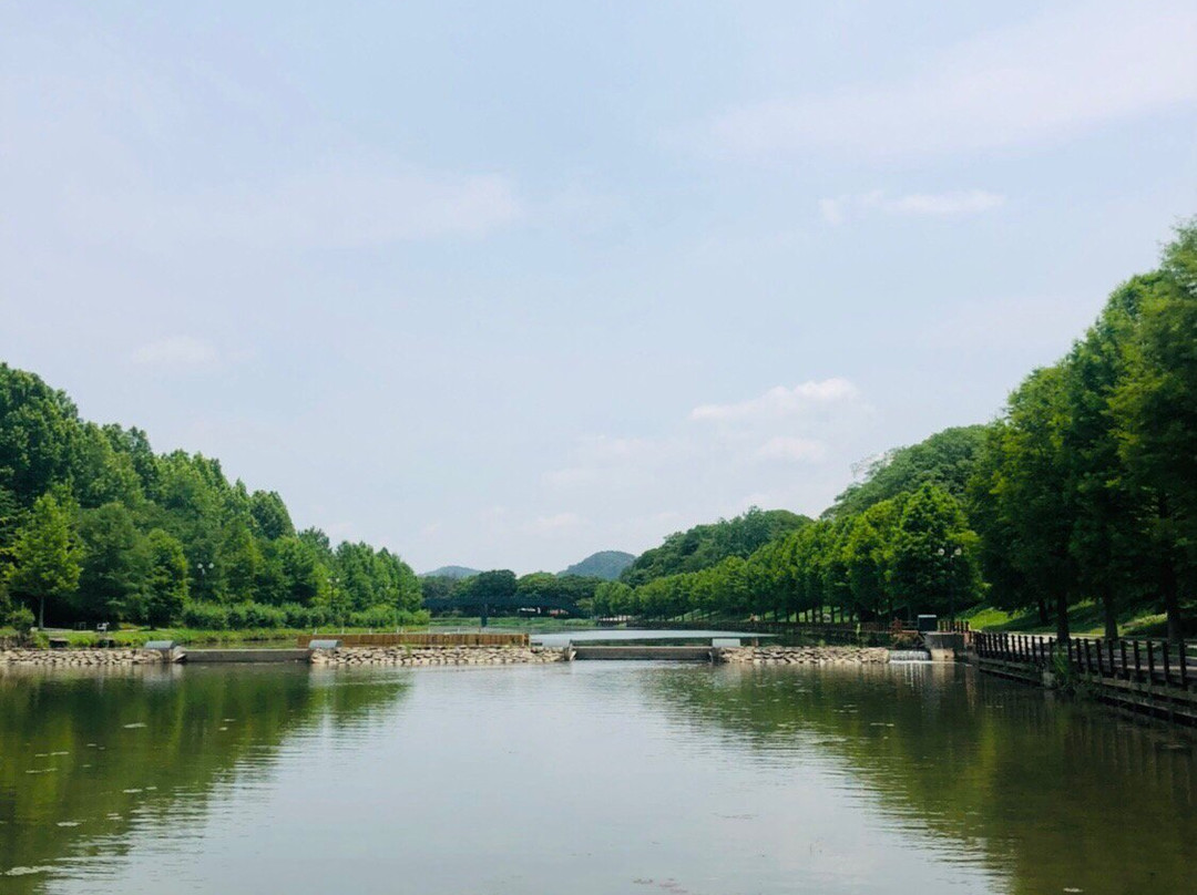 Gwanbangjerim Forest-潭阳郡必去景点