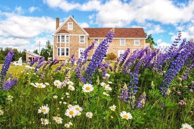 Salty Rose's and the Periwinkle Cafe主图