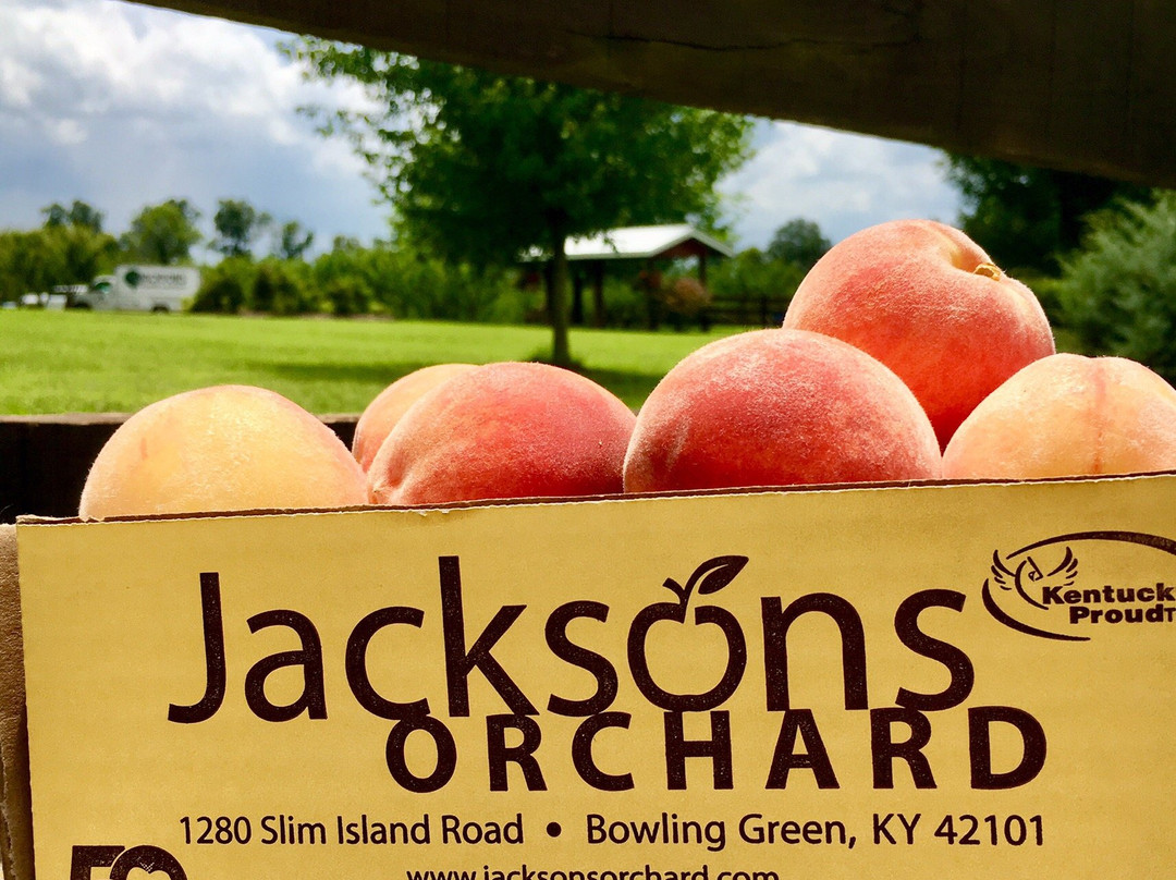 Jackson's Orchard & Nursery-鲍灵格林必去景点