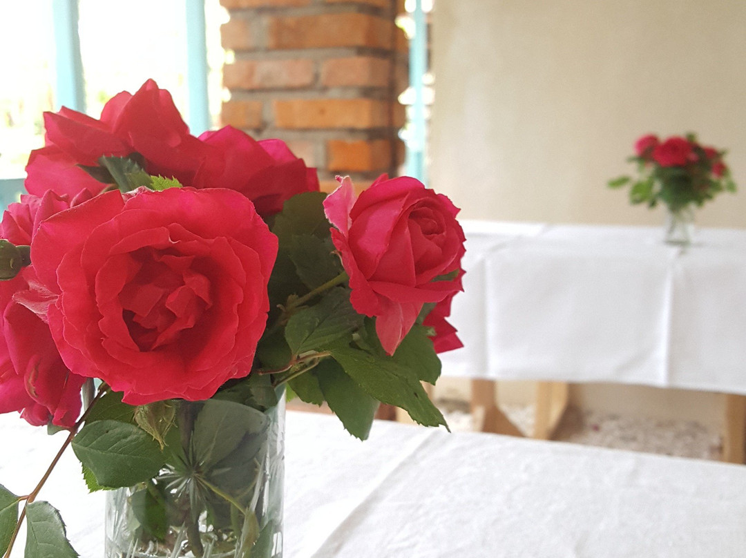 2024年3月Mate’s Wine Cellar景点攻略Mate’s Wine Cellar门票预订地址图片Mate’s Wine