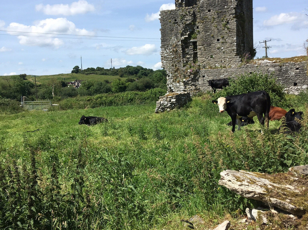 Ballybeg Priory-Mallow必去景点