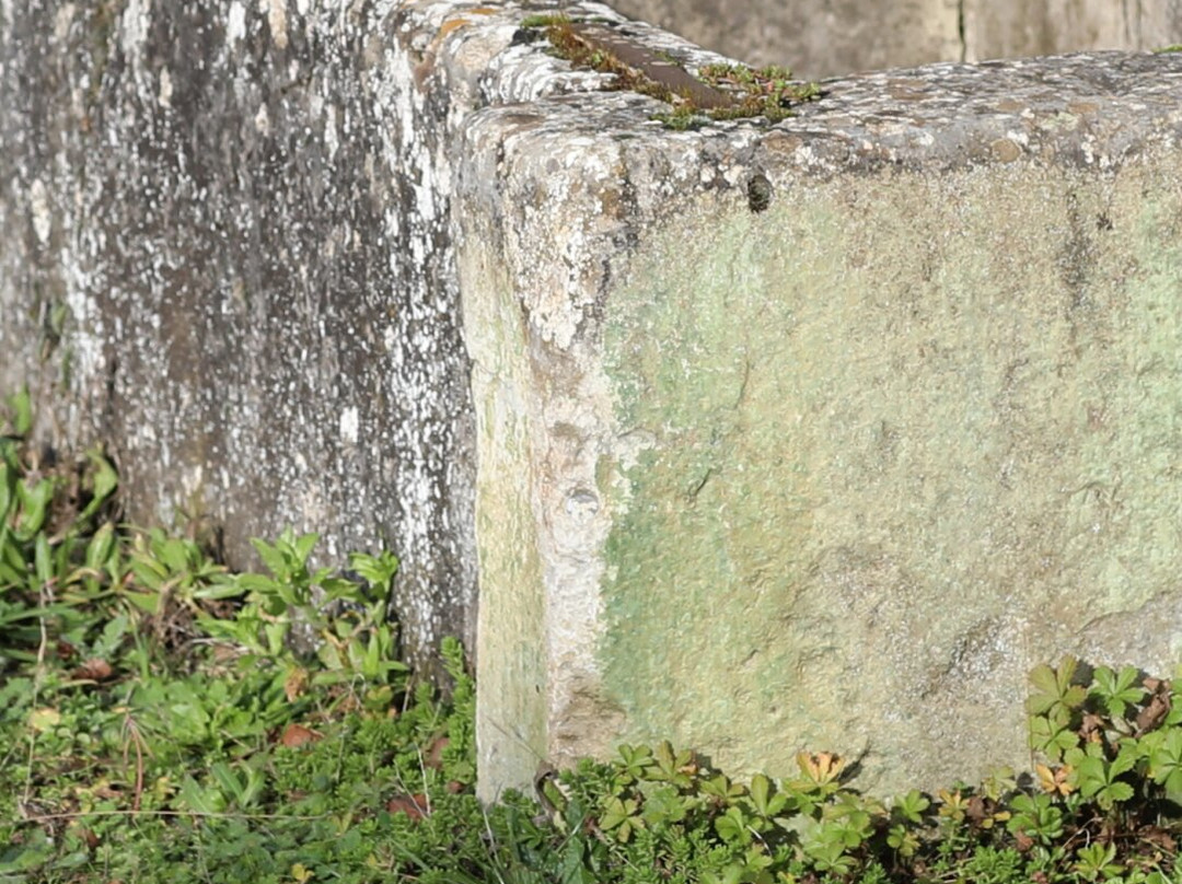 Fontaine De 1852 À Cercot景点图片