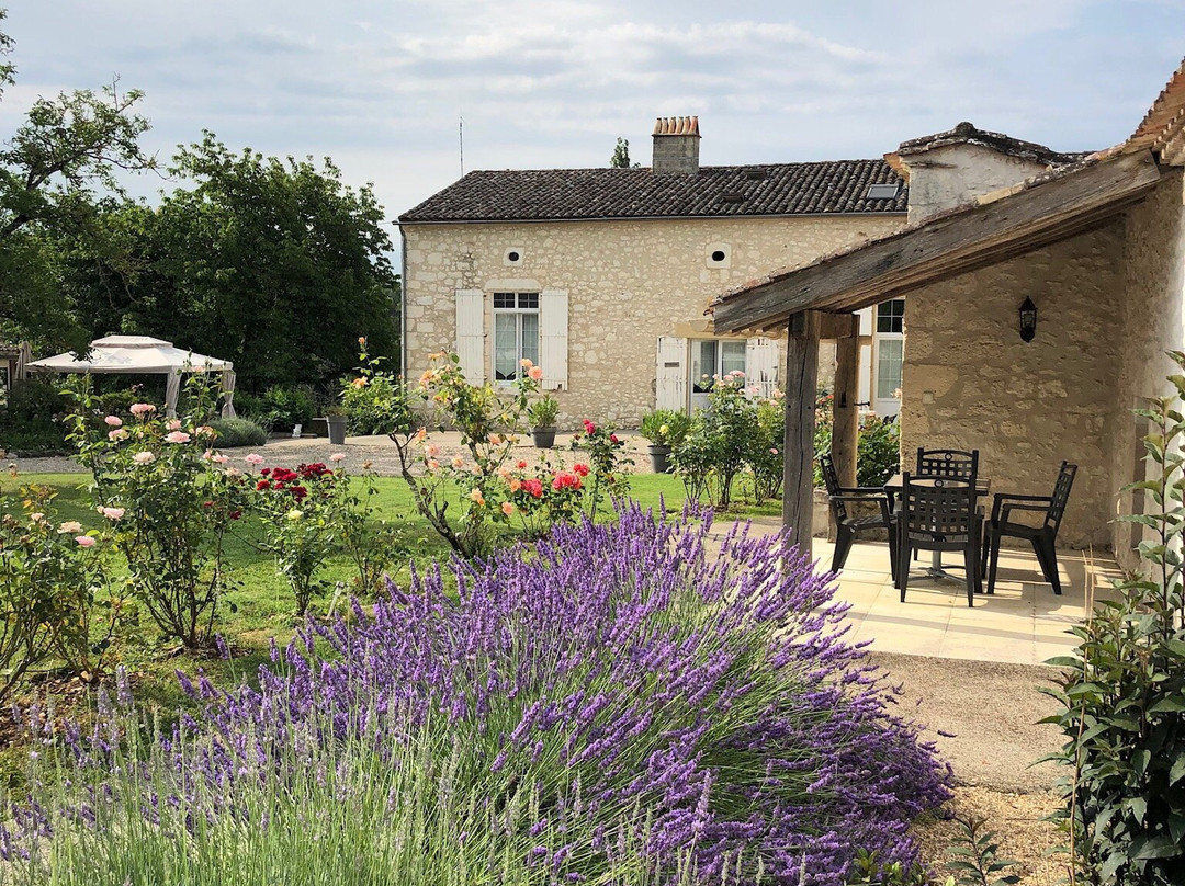 霍尔迪葡萄园旅馆主图