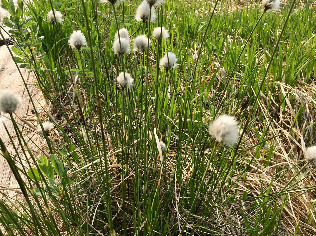 Nugudamarinosato Hiyu Hakkodaonsen主图