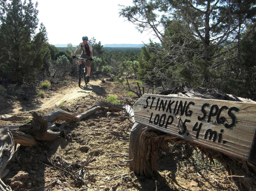 Kokopelli Bike and Board-科尔特斯必去景点