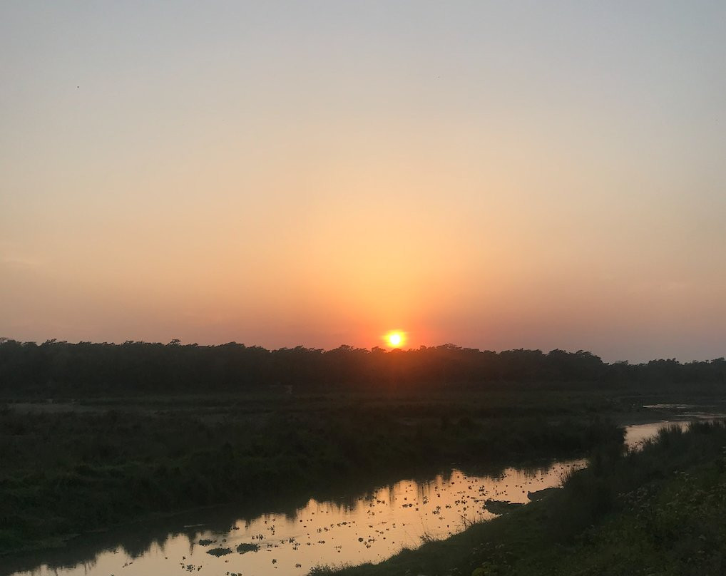 皇家老虎野生动物园度假村主图