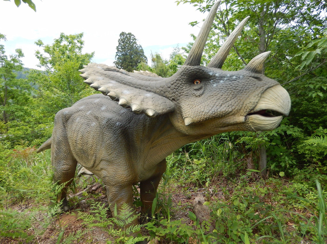 Katsuyama Dino Park景点图片