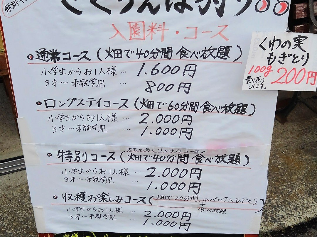 Yamagata Cherry Land and Kaminoyama Tourism Fruit Garden-上山市必去景点