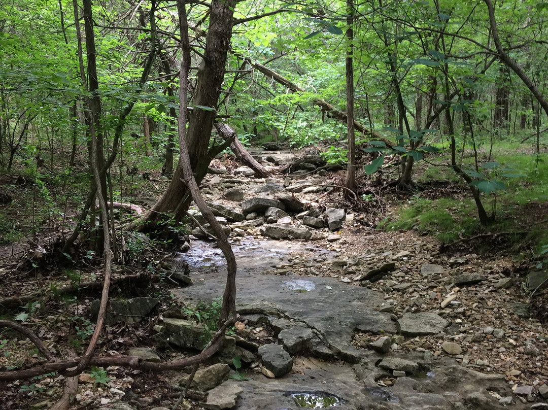 Ruth and Paul Henning Conservation Area-布兰森必去景点