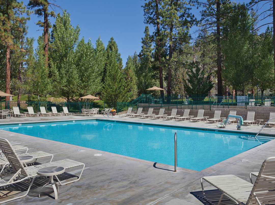 世誉大熊公寓式酒店主图