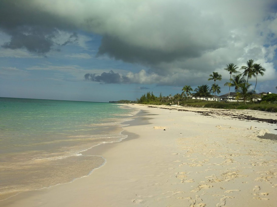 La Bougainvillea主图