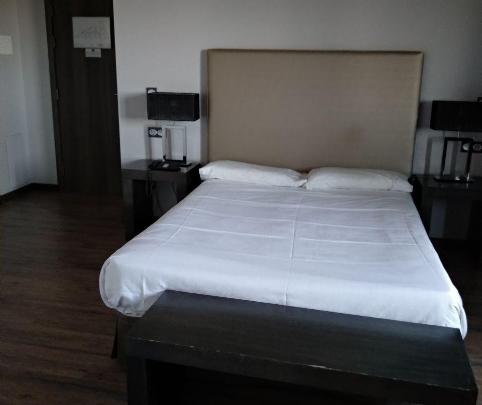 Hotel Valcarce Leon主图