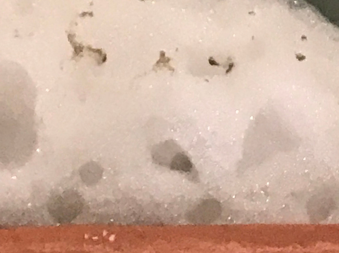 Country Inn & Suites By Radisson, Gainesville, FL主图