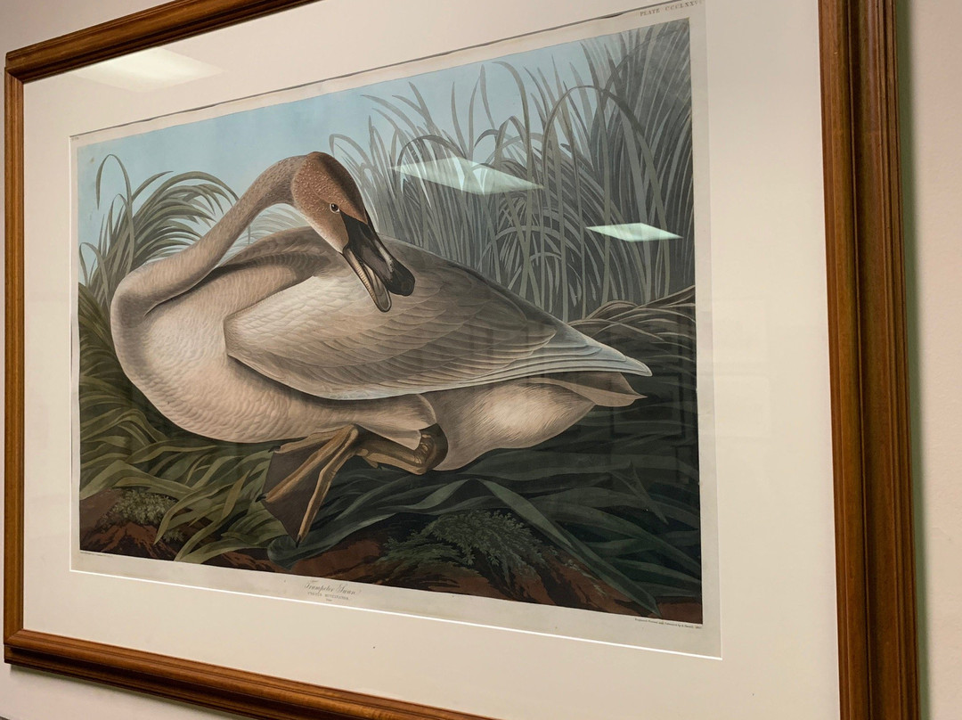 Imperial Calcasieu Museum-莱克查尔斯必去景点