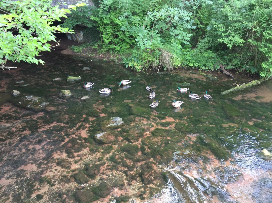 Sequiota Park-斯普林菲尔德必去景点