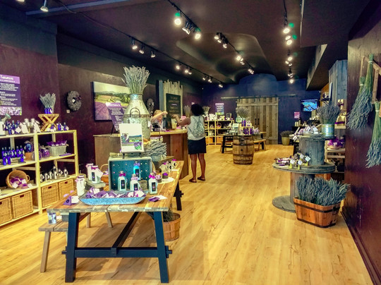 Pelindaba Lavender Savannah-萨凡纳必去景点