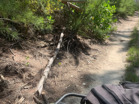 S&D Coach Tours-弗里波特必去景点