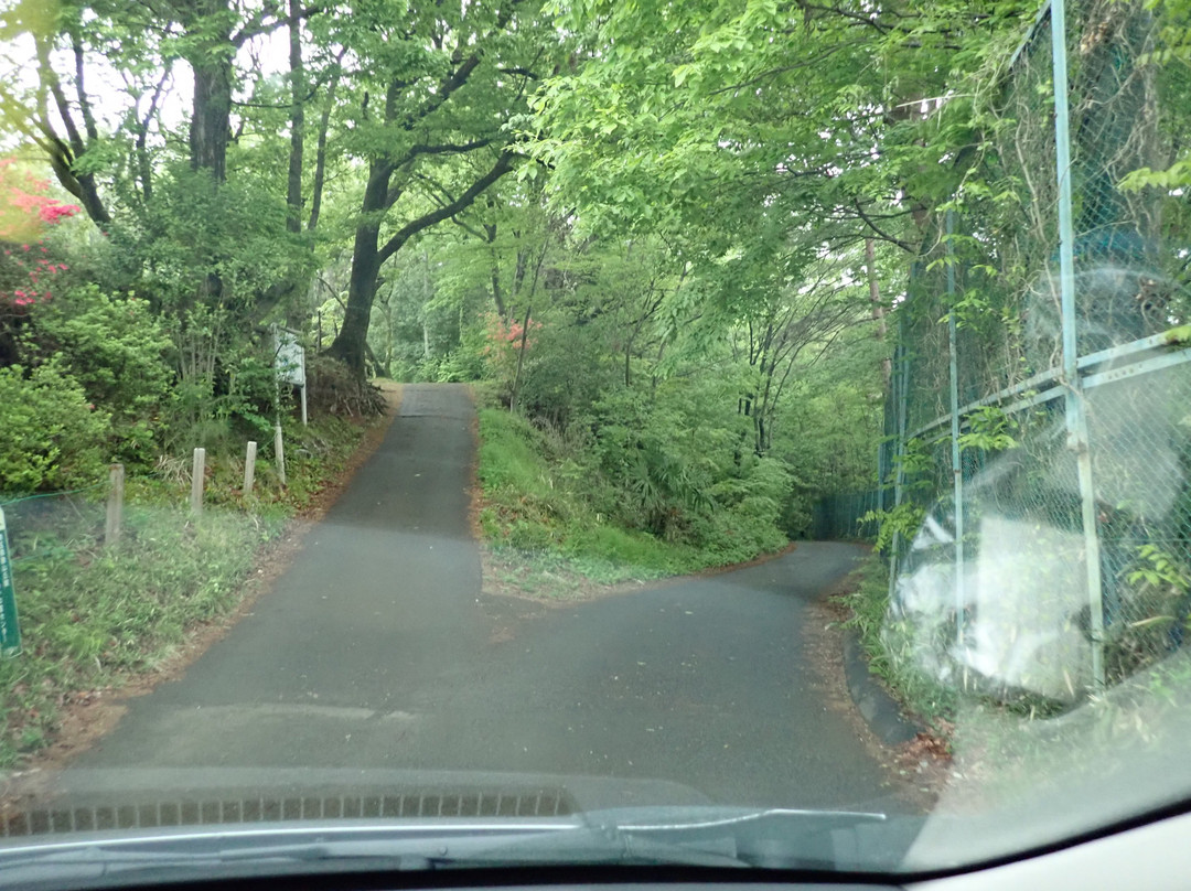 Arahata Fuji-所泽市必去景点