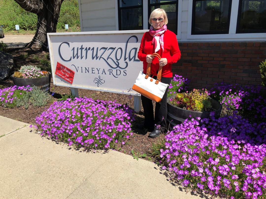 Cutruzzola Vineyards-坎布里亚必去景点