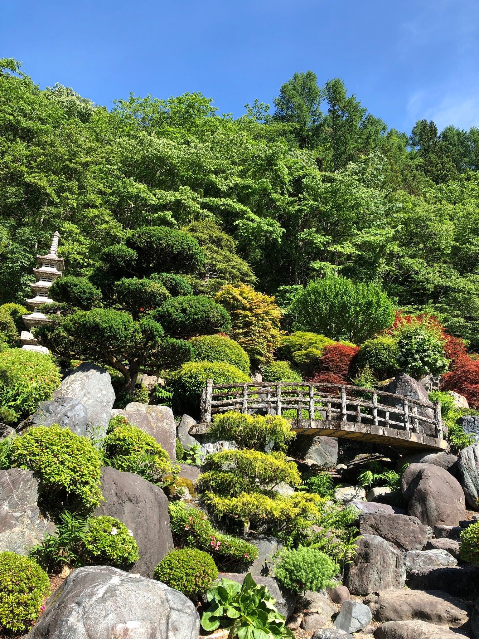 Toshukan-官方