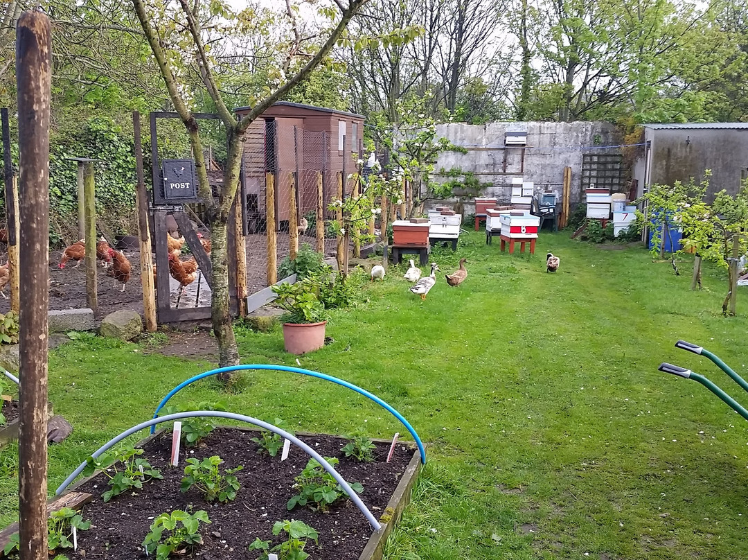 Marine Villa B&B主图