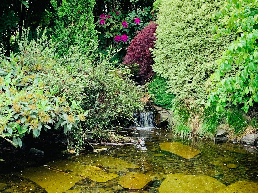 Schreiner's Iris Gardens-塞勒姆必去景点