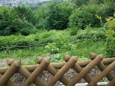 Zu den Erdfallen主图