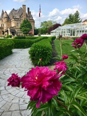 Buhl Mansion Guesthouse & Spa主图